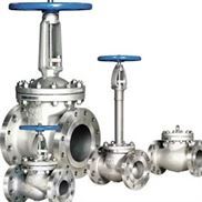 Duplex & Super Duplex Steel Valves