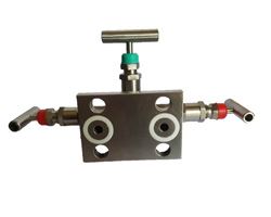 Manifold Valves