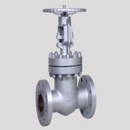 Hastalloy Valves