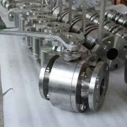 Inconel Valves