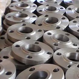 Titanium Flanges